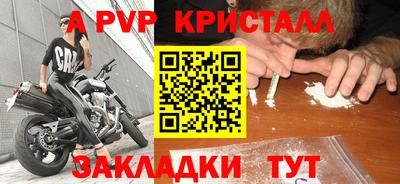 дмт Нальчик