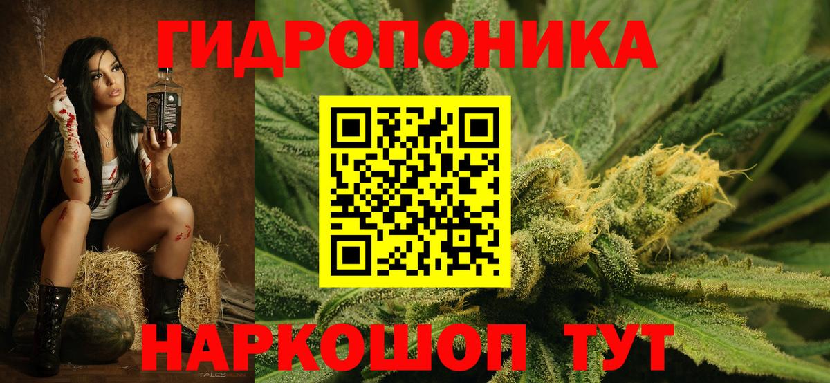 Каннабис Bruce Banner  Шишки марихуана индика  Тула  Шишки марихуана марихуана  Марихуана планчик  Вход с VPN 